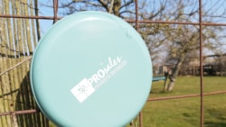 Frisbee